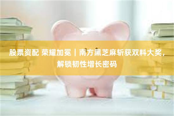股票资配 荣耀加冕｜南方黑芝麻斩获双料大奖，解锁韧性增长密码