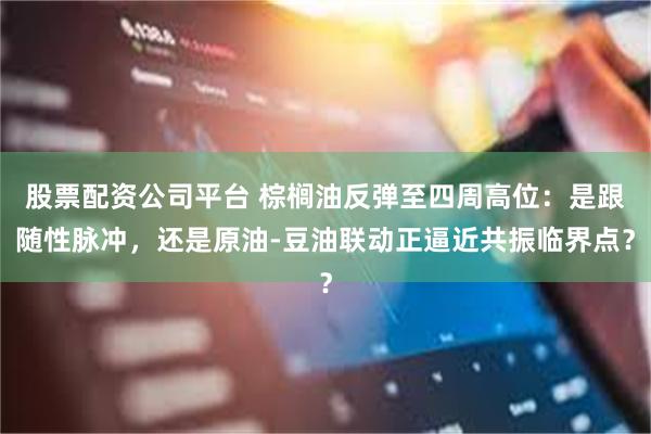 股票配资公司平台 棕榈油反弹至四周高位：是跟随性脉冲，还是原油-豆油联动正逼近共振临界点？