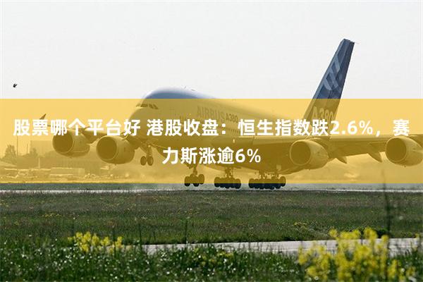 股票哪个平台好 港股收盘：恒生指数跌2.6%，赛力斯涨逾6%