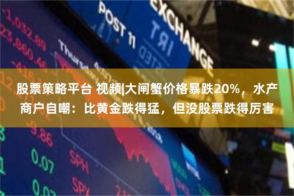 股票策略平台 视频|大闸蟹价格暴跌20%，水产商户自嘲：比黄金跌得猛，但没股票跌得厉害